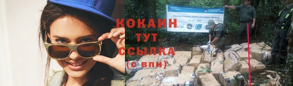 ГАЛЛЮЦИНОГЕННЫЕ ГРИБЫ Горняк