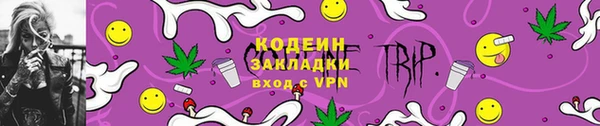 ГАЛЛЮЦИНОГЕННЫЕ ГРИБЫ Горняк