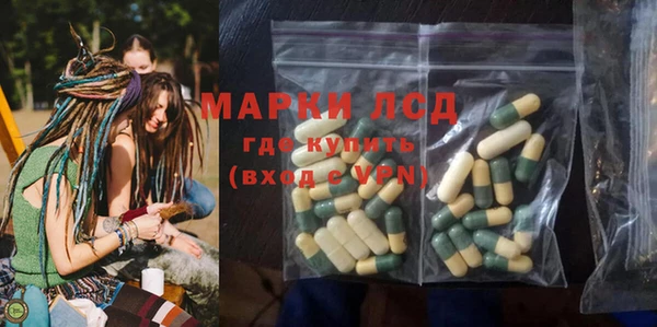 ГАЛЛЮЦИНОГЕННЫЕ ГРИБЫ Горняк