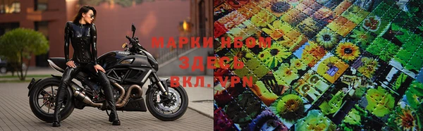 ГАЛЛЮЦИНОГЕННЫЕ ГРИБЫ Горняк