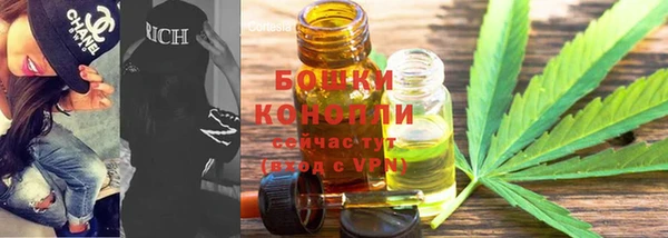ГАЛЛЮЦИНОГЕННЫЕ ГРИБЫ Горняк
