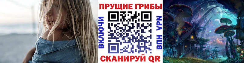 Галлюциногенные грибы мицелий  Купить  Новоалтайск 